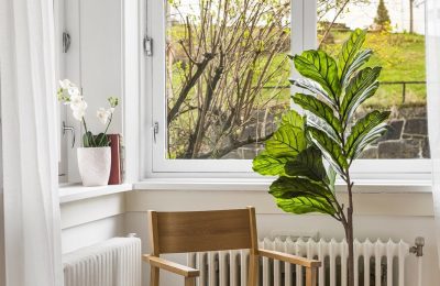 735_d2c33083-1623-4b7c-941c-3e5409186a28